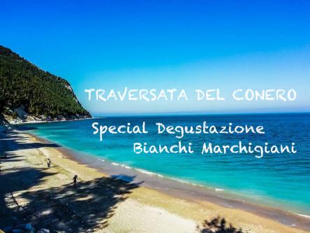 Conero In Barca + Degustazione Vini Bianchi Marchigiani