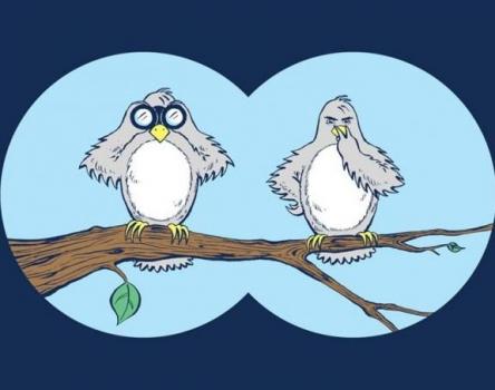 Il coro mattutino del San Bartolo: uccelli in canto!