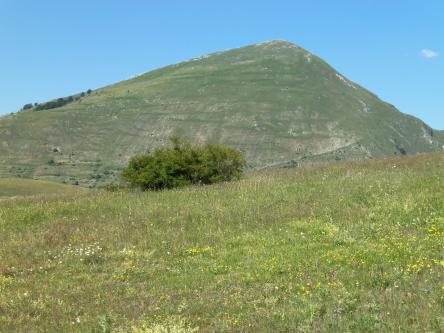 Escursione al Monte Cardosa da Nocelleto per la Valle Varogna