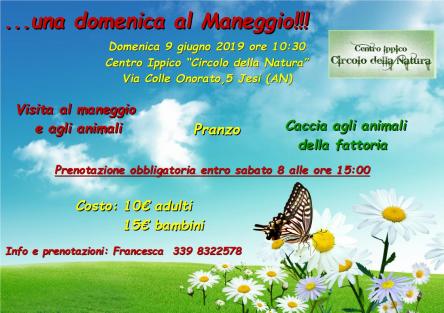 una domenica al maneggio