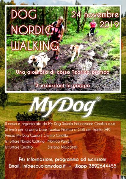 Dog nordic walking