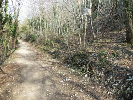 Escursione dall'eremo di sant'Angelo alla Macchia delle Tassinete per il cristo delle Marche