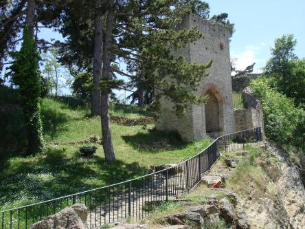 Raccolta di marroni e castagne sul Monte Falcone