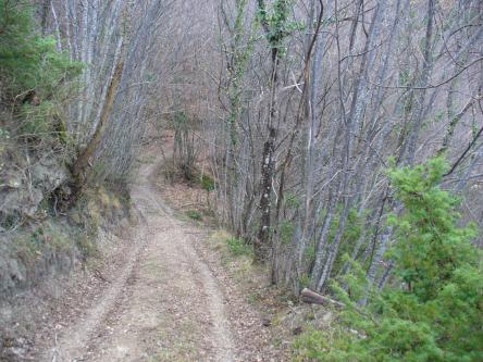 Escursione nel Bosco di Rovetino