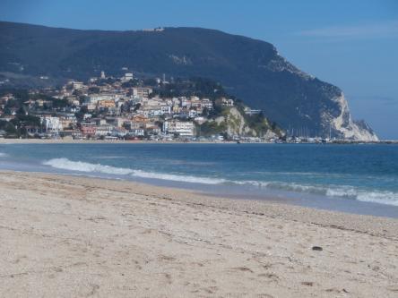 Escursione al Conero d'inverno tra il rosso dei corbezzoli