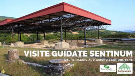 Visite Guidate al Parco Archeologico di Sentinum