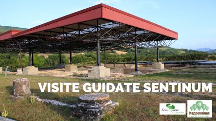 Visita guidata al Parco Archeologico di Sentinum