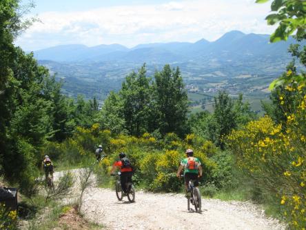 I Sentieri di San Francesco