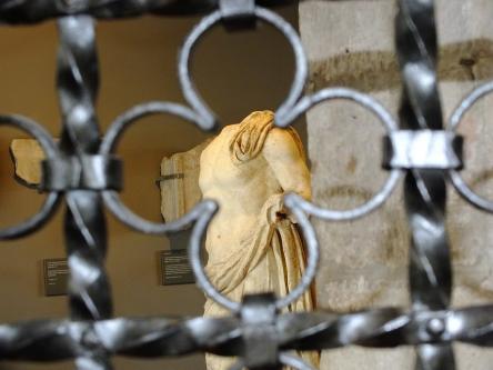 Visita Guidata al Museo Civico Archeologico