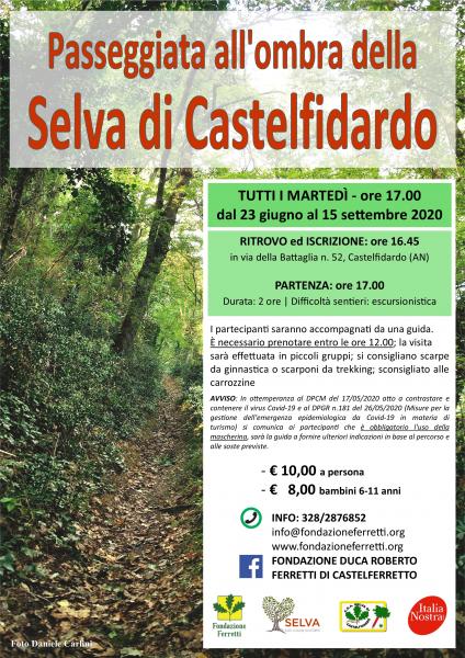 Passeggiata all'ombra della Selva di Castelfidardo (AN)