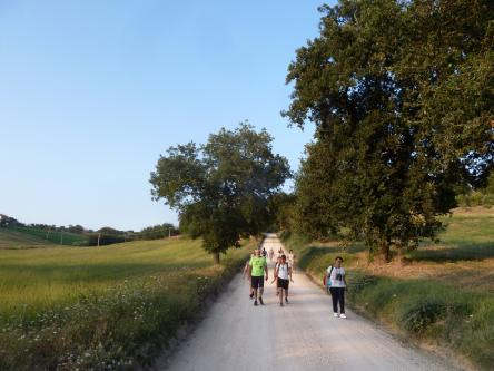 Gli Ecoturistici: la campagna verso il tramonto