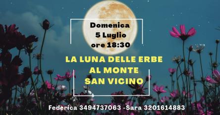 SAN VICINO: LA LUNA DELLE ERBE