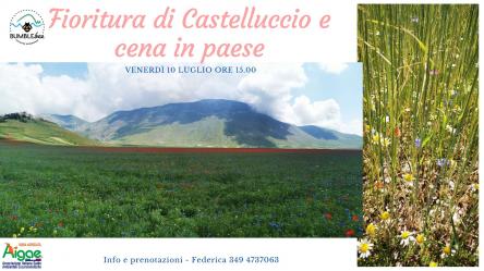 Castelluccio: fioritura e cena in paese