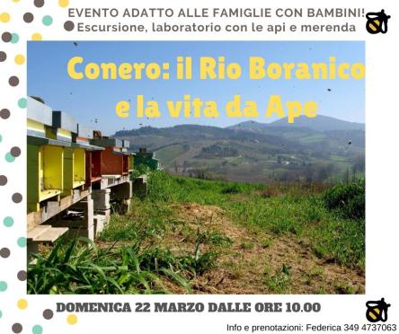 Conero: il Rio Boranico e la vita da Ape