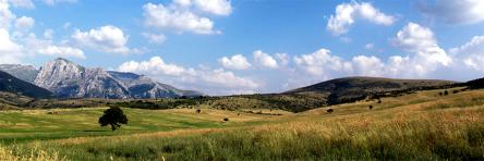 L'altopiano di Macereto: tra prati e pascoli