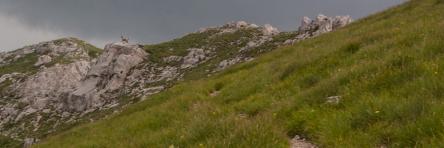 Monte Bove: la montagna del camoscio