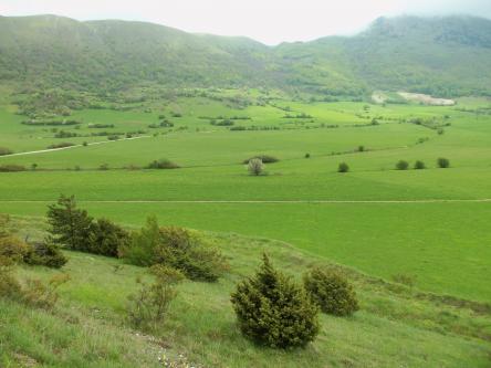 Monte Igno: escursione tra i colori dei fiori