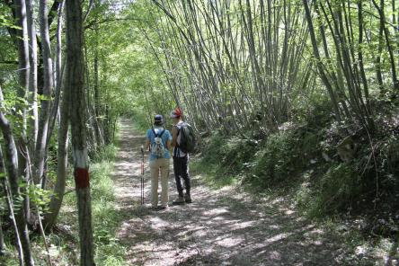 Escursione sul Sentiero dell'Aquila