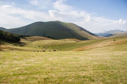 Un facile anello intorno a Castelluccio di Norcia
