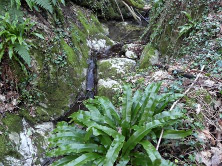 Le meraviglie della Valle della Scurosa