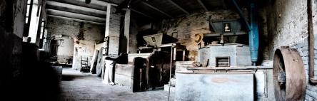 Corinaldo: la campagna, il fiume e visita all'antico molino