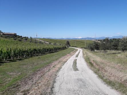 Escursione in campagna verso il tramonto e aperitivo finale