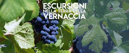 Escursioni nella terra della Vernaccia - Escursione al tramonto sul Monte Letegge