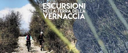Escursioni nella terra della Vernaccia - Il Monte Letegge in MTB