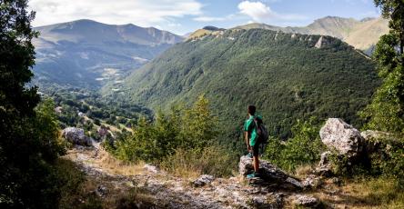 Fonte dell'Aquila e aperitivo con vista