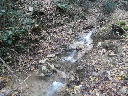 Escursione all'anello del Rio Vitoschio