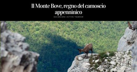 Il Monte Bove, regno del camoscio appenninico