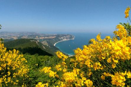Anello nord del Monte Conero