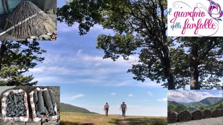 La TransuPanza III Edizione