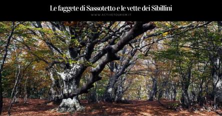 Le faggete di Sassotetto e le vette dei Sibillini