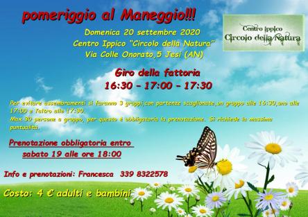 pomeriggio al maneggio