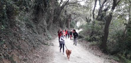DogTrekking al Conero
