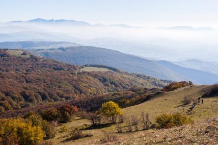 Il bosco ed i panorami tra Elcito e Canfaito