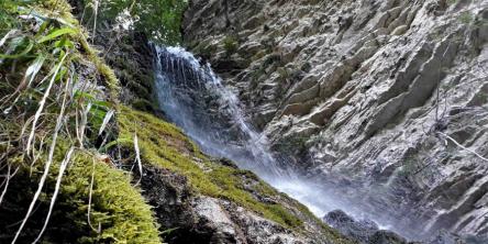 Dalle Sorgenti del Nera alla Cascata del Pisciatore