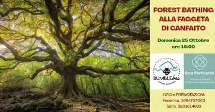 Forest bathing e tramonto a Canfaito