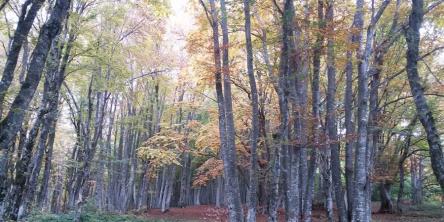 La magia di Canfaito tra le ultime ore del giorno e una notte di luna (quasi) piena