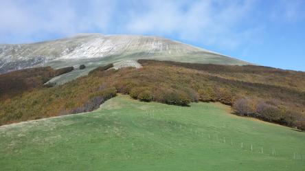 Foliage e vetta del Monte Catria