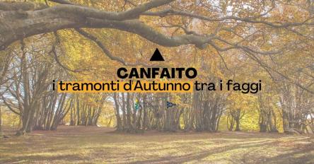 Canfaito: i tramonti d'Autunno tra i faggi