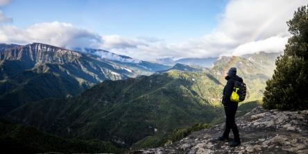 Appennino perduto: gli incredibili boschi del monte Ceresa