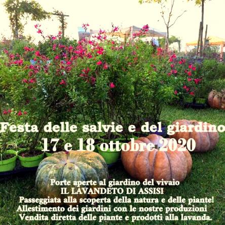 Festa delle salvie e del giardino Assisi