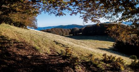 Lo sperduto Monte Poggio Martello