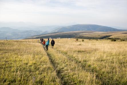 Ragnolo: bosco, caprioli ed immensi panorami