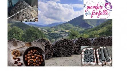 Il bosco, il carbonaio...e le castagne!