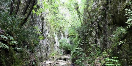 Dal Paese dei Murales alla Gola de Jana fino a Roti