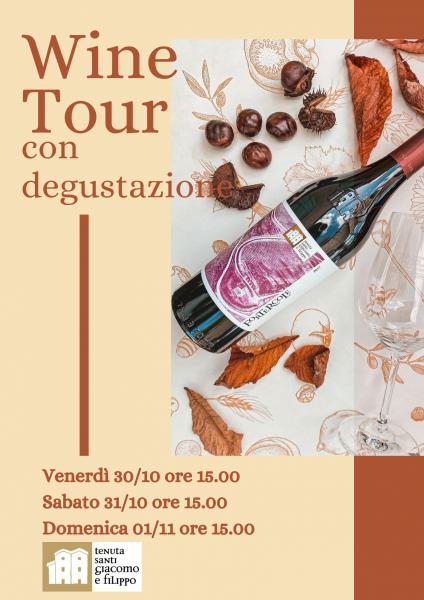 Wine Tour con degustazione