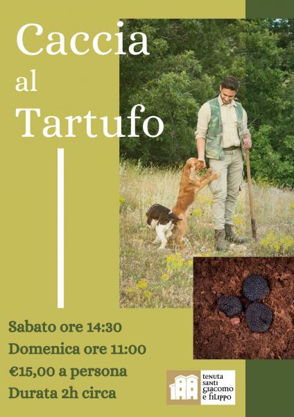 Caccia al tartufo alla Tenuta